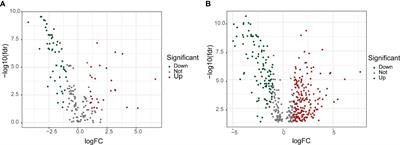 Prognostic significance and identification of basement membrane-associated lncRNA in bladder cancer